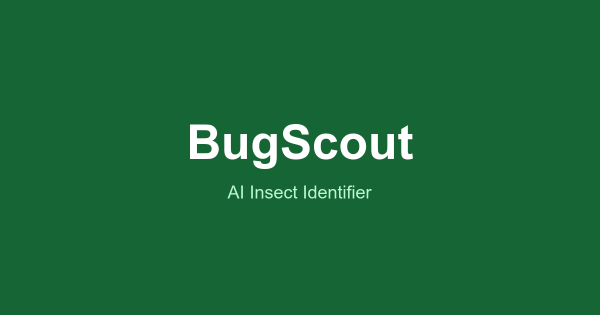Free Insect ID Tools | BugScout